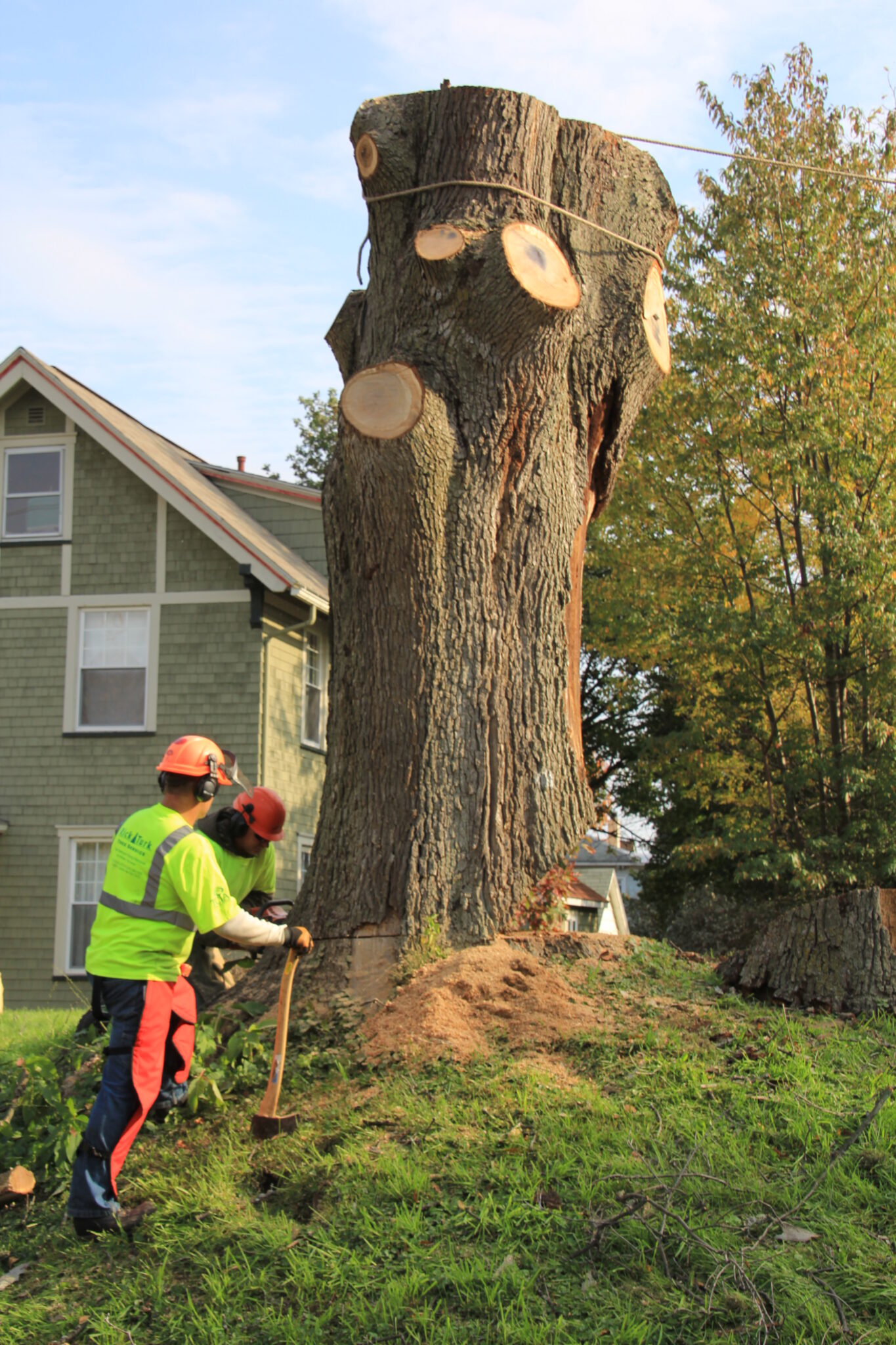 Sectioning a large trunk