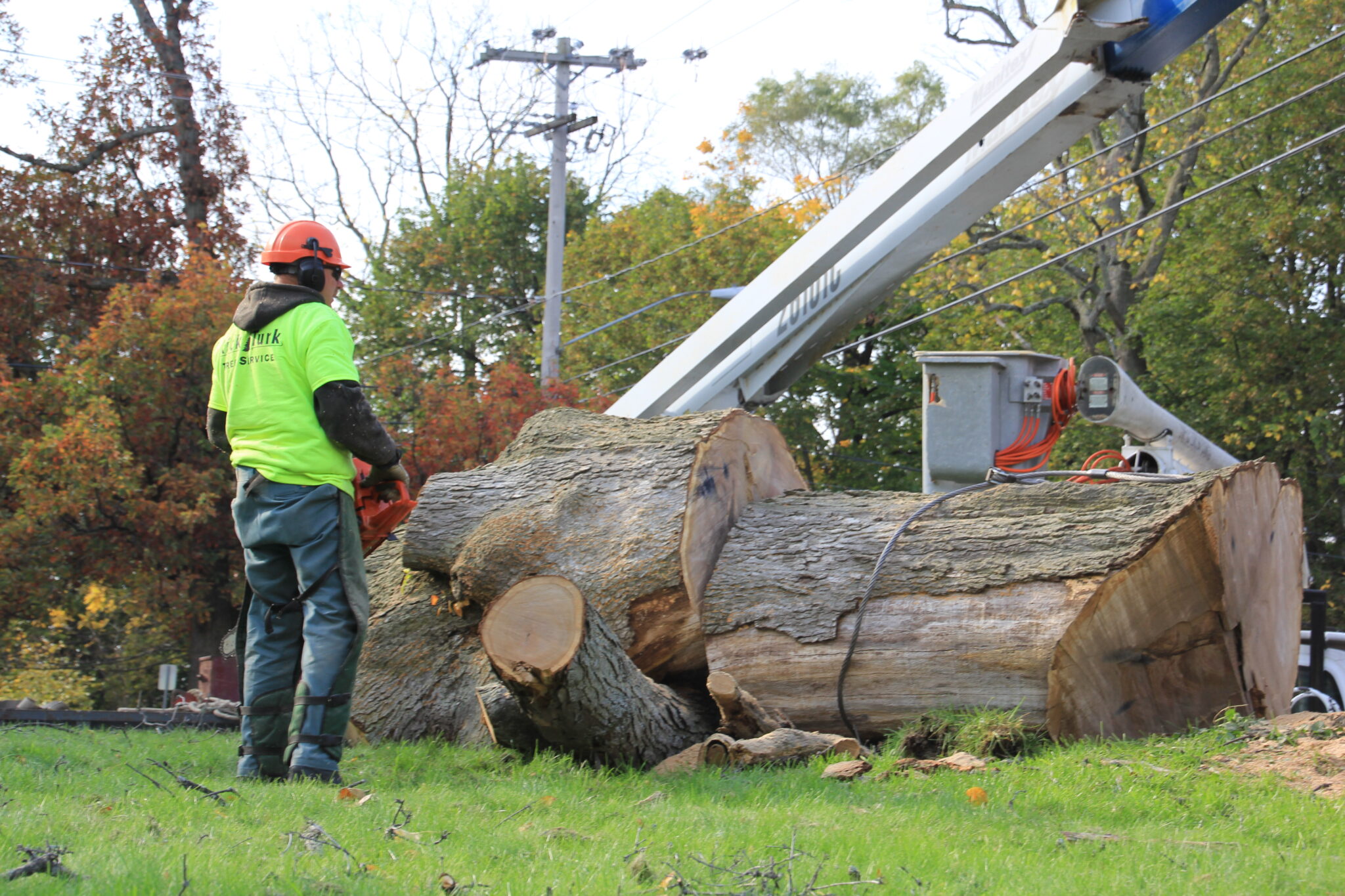 A Rick Turk Tree Service crew member removing a large oak with the company's crane on an autumn day in Central New York