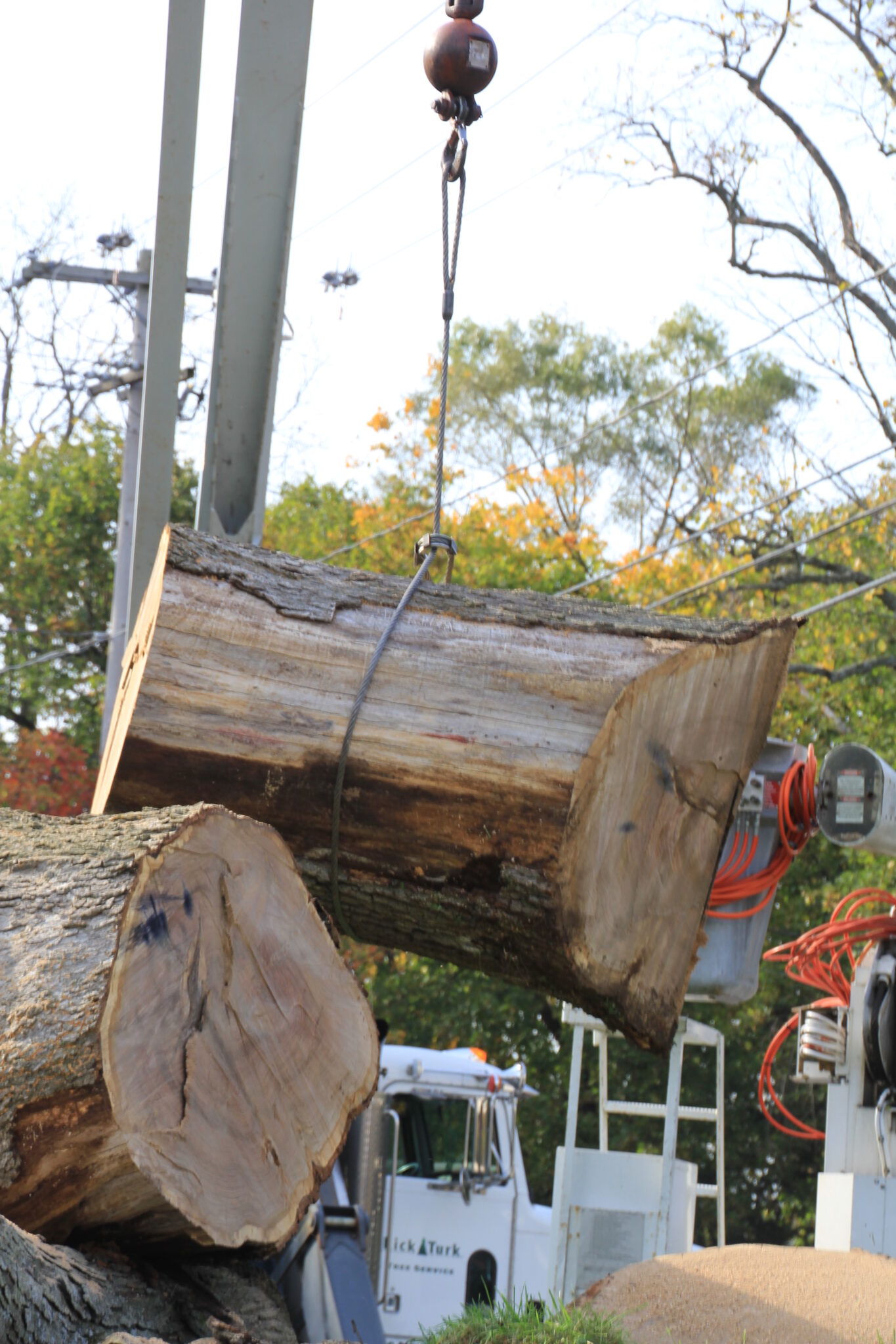 Careful tree work near a home