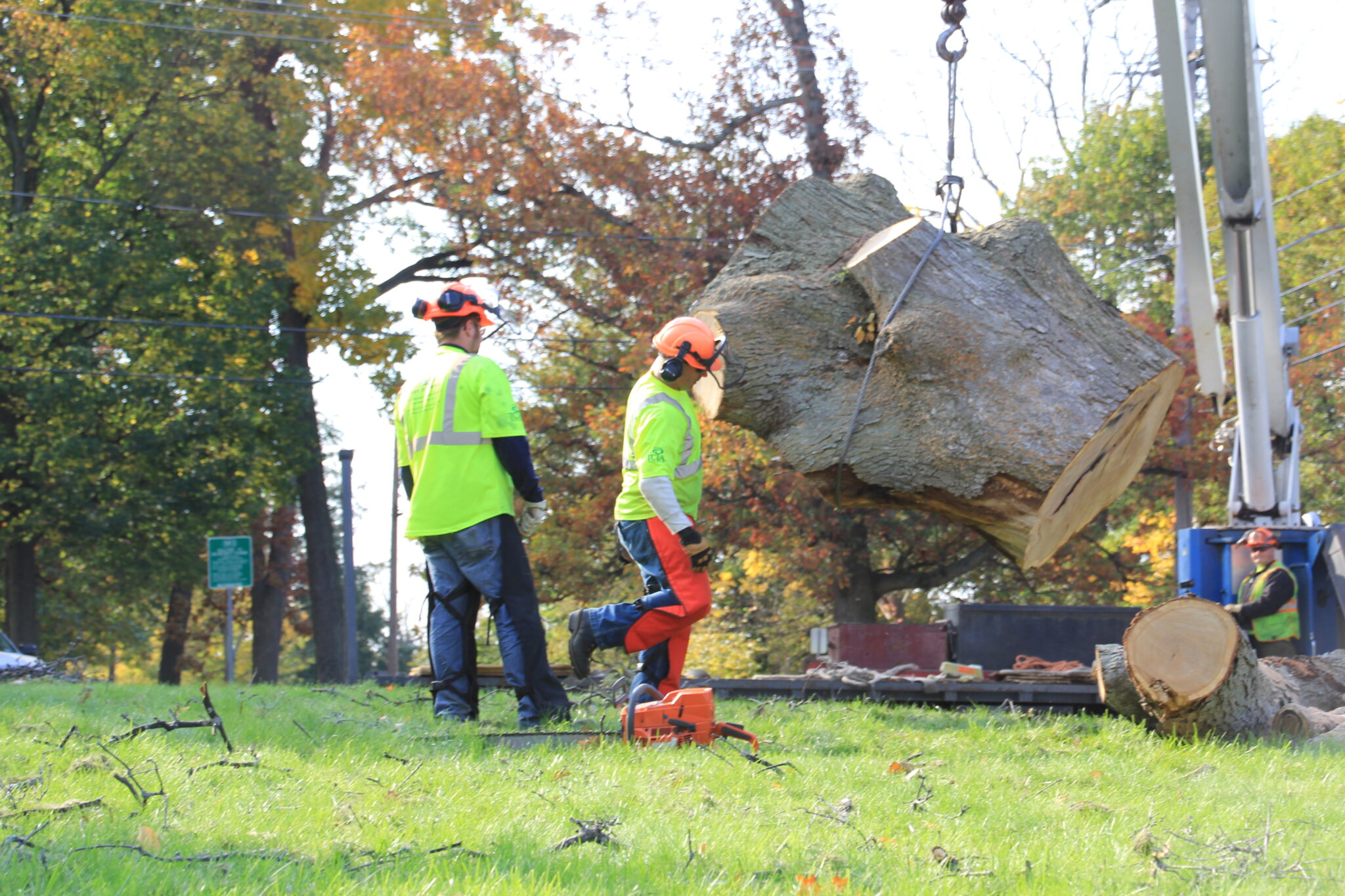 Rick Turk Tree Service crew operating a bucket truck and crane to take down a large tree