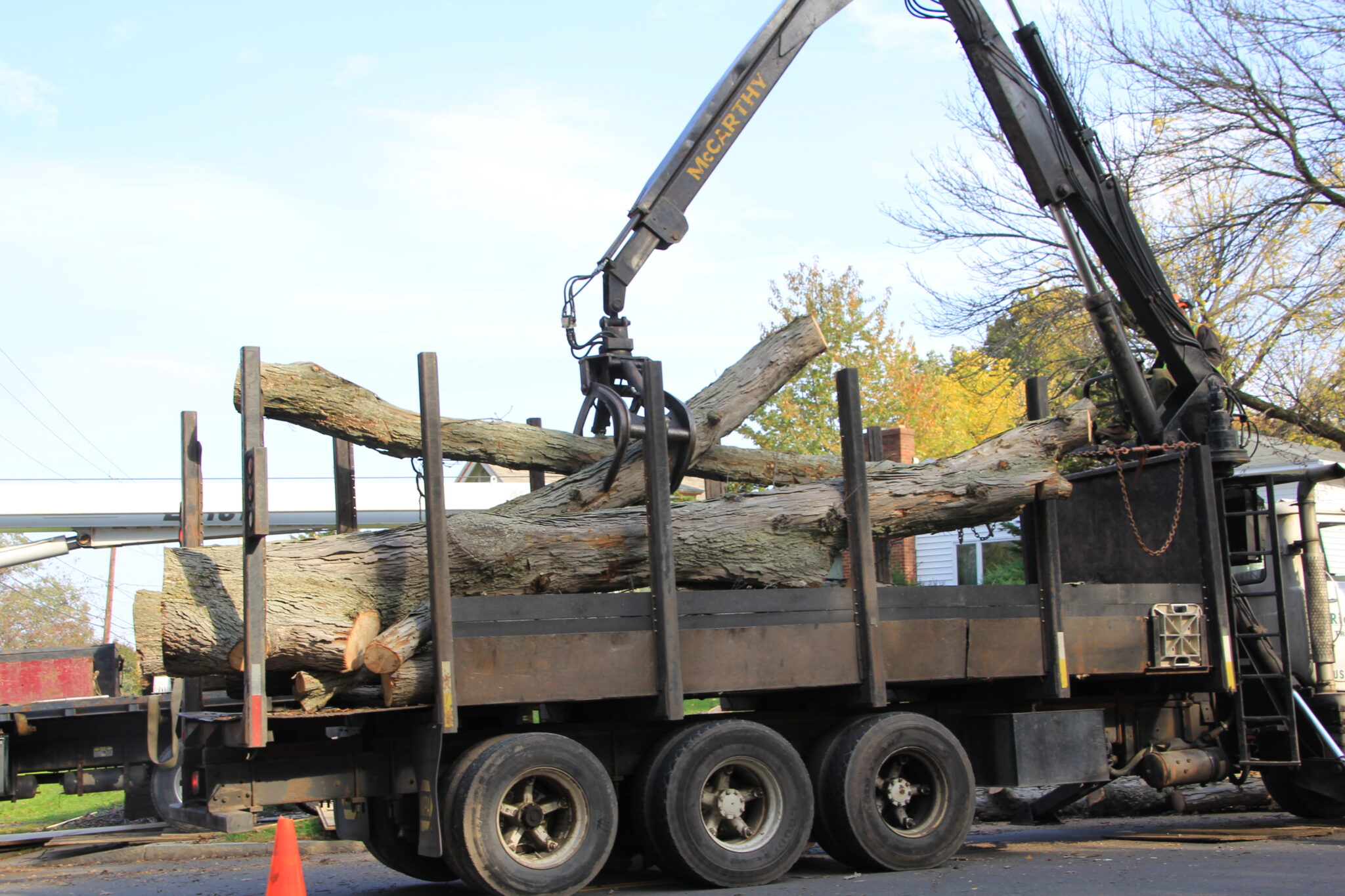 Tree removal in progress with heavy equipment