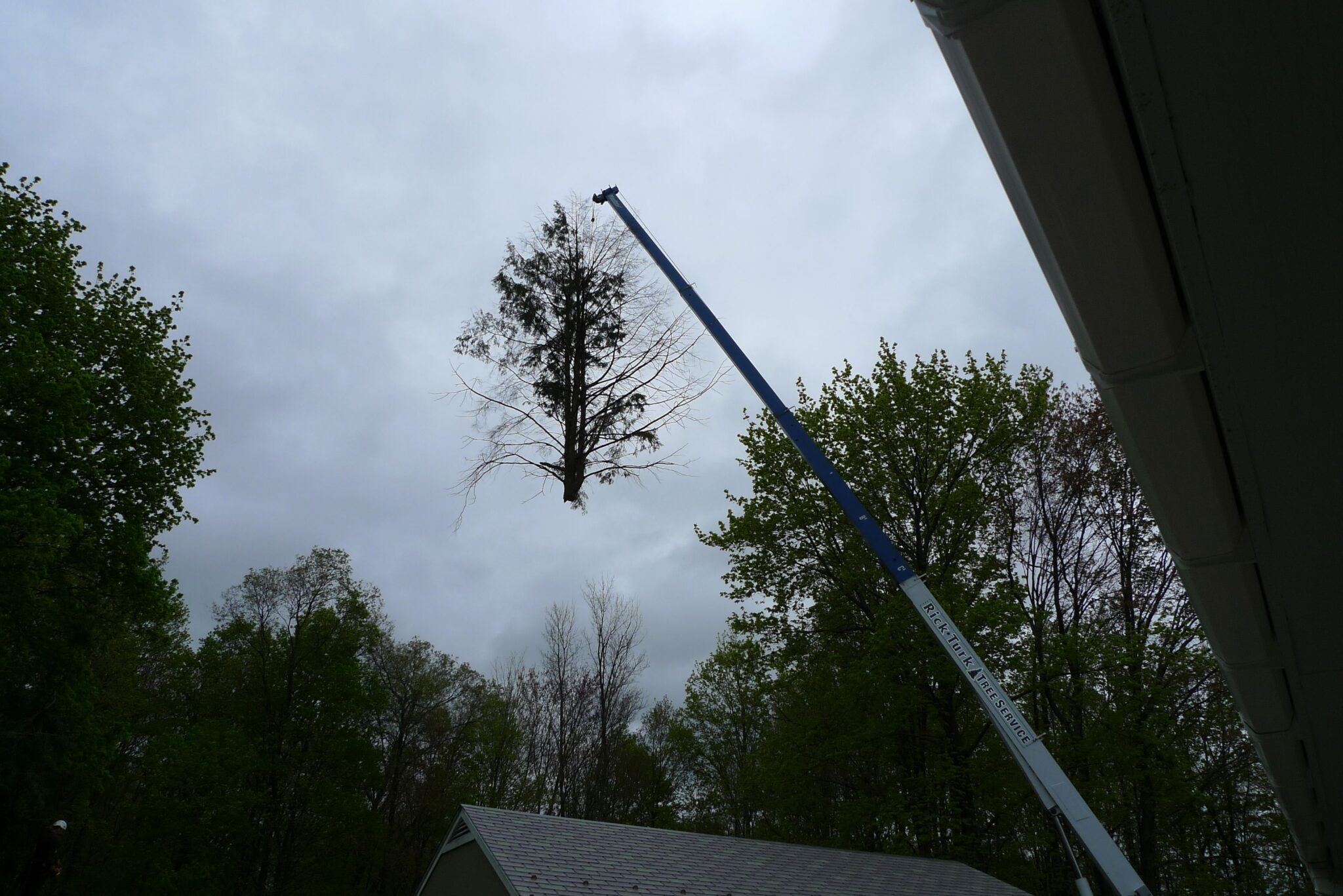 Rick Turk Tree Service crew and equipment on a job