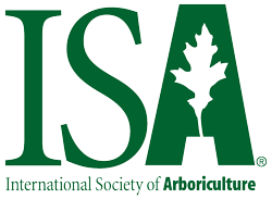 International Society of Arboriculture member